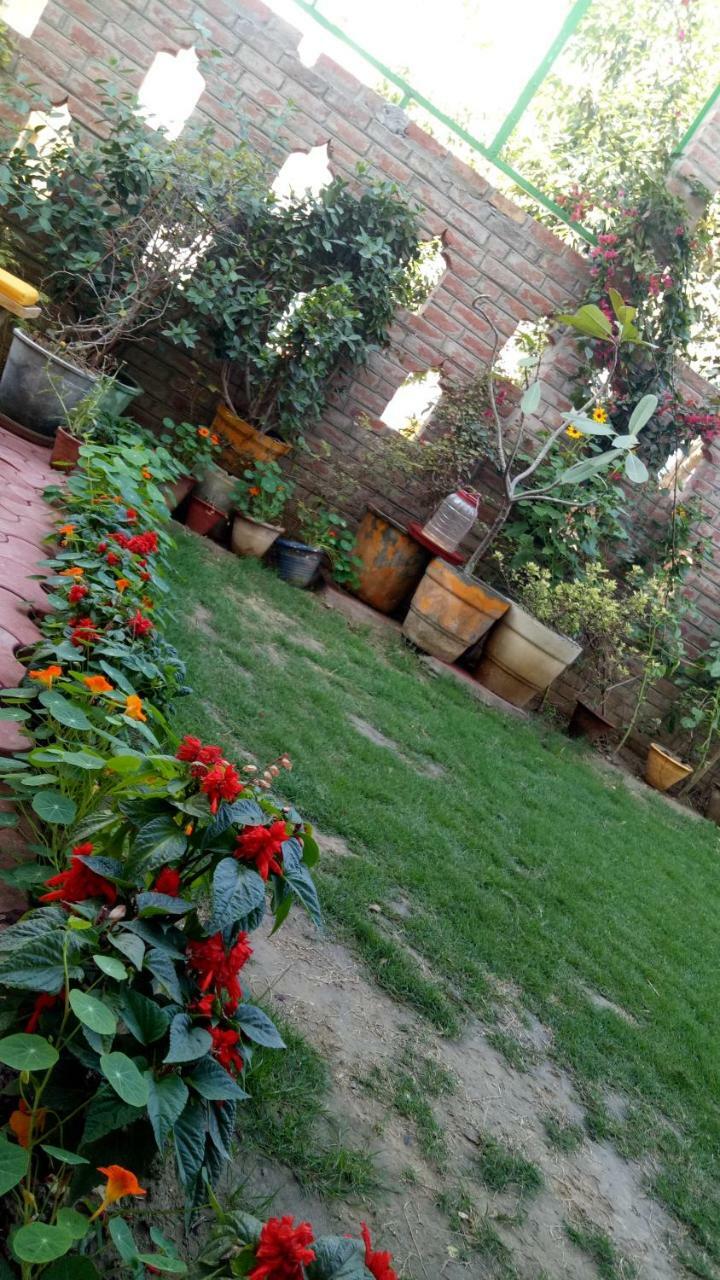 Coral Country Homestay Agra  Exterior photo